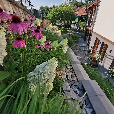 Krysztalowy Apartament Z Pieknym Ogrodem W Centrum Uzdrowiska Polanica-Zdroj Exterior photo
