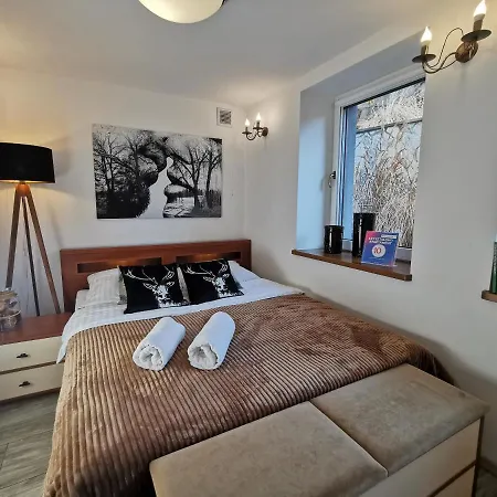 Krysztalowy Apartament Z Pieknym Ogrodem W Centrum Uzdrowiska Polanica-Zdroj Exterior photo