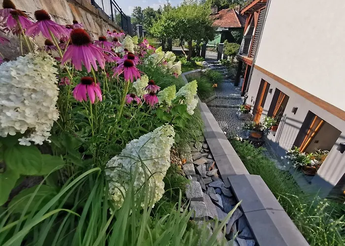 Krysztalowy Apartament Z Pieknym Ogrodem W Centrum Uzdrowiska