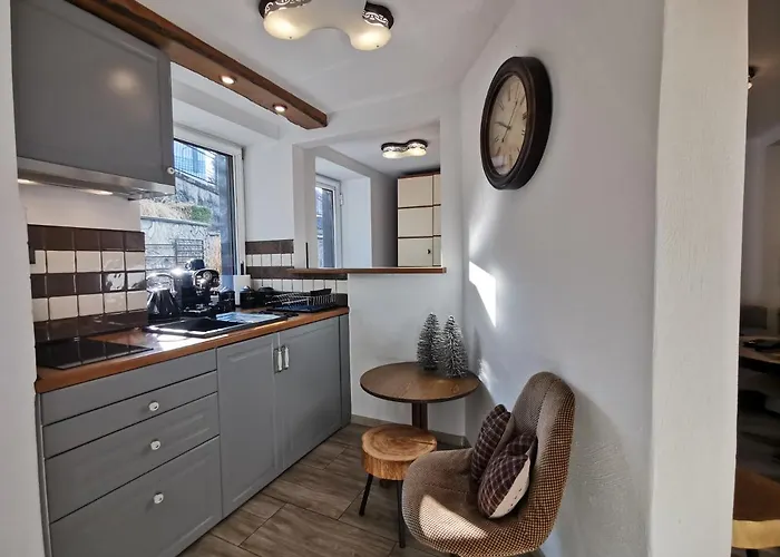 Krysztalowy Apartament Z Pieknym Ogrodem W Centrum Uzdrowiska