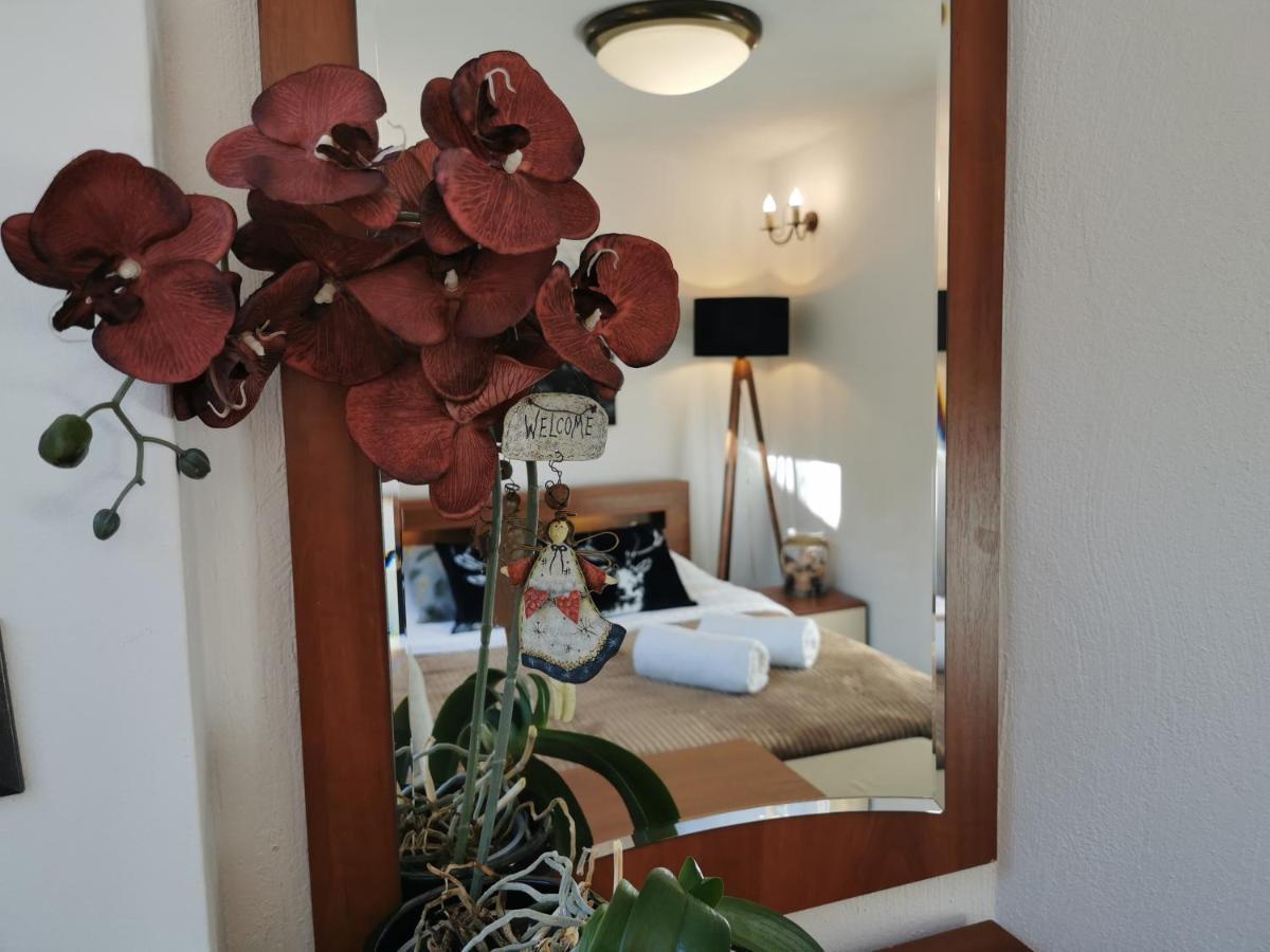 Apartment Krysztalowy Z Pieknym Ogrodem W Centrum Uzdrowiska